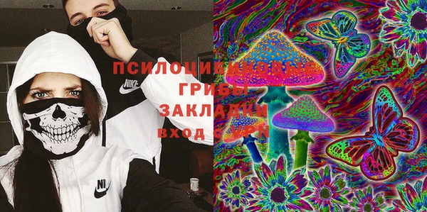 крисы Приозерск