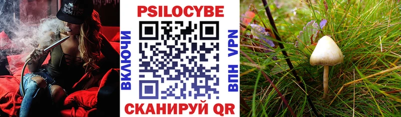 Галлюциногенные грибы MAGIC MUSHROOMS Микунь
